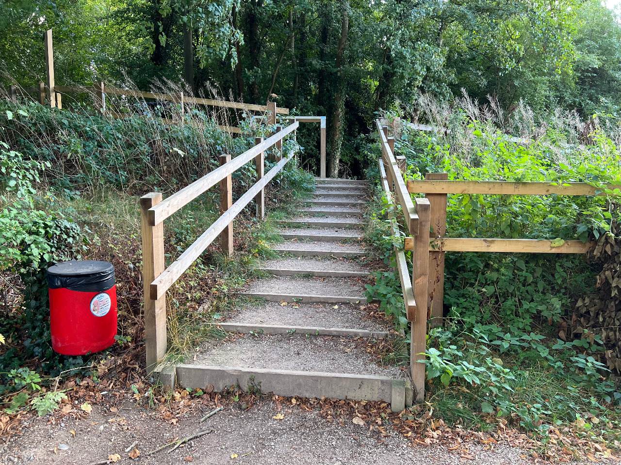 Photo by Jamie Holmes